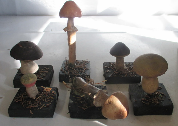 antique botanical models mushrooms